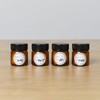Tree of Life Olfactory Training Set (Includes Essential Oils, Containers,