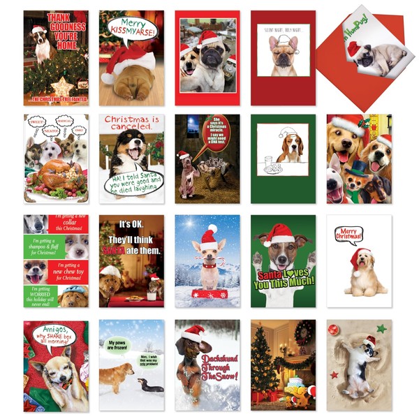 NobleWorks 20 Assorted Box Set Funny Christmas Greeting Cards w/5