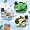 SNOWSEN LDY-1 Essential Oil Set