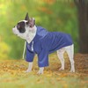 Stylish Premium Yellow Zip Up Dog Raincoat - Reflective Buttons,