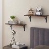 16 Pack L11 x H 8" Black Heavy Duty Shelf