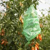 Windhager Tomato Foil Hose Strong, Tomato Cover Plant Protection Plant