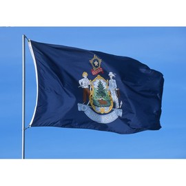 Allied Flag - 4' x 6' Outdoor Nylon Maine State Flag - Made in USA - Vivid Color and Fade Resistant - Reinforced Hem and Brass Grommets
