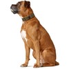 HUNTER Collar Aalborg Special, 50 67273 Soft genuine cow leather,