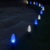 Wintergreen Lighting 50’ OptiCore LED Blue and White Pathway Christmas