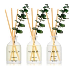 COCORRÍNA Eucalyptus Reed Diffuser Set of 3 - Eucalyptus & Moss, Clean Linen, Ocean Mist Scents, 1.7 fl oz Each, Total 5.1 oz, Scented Oil Diffusers for Home & Office