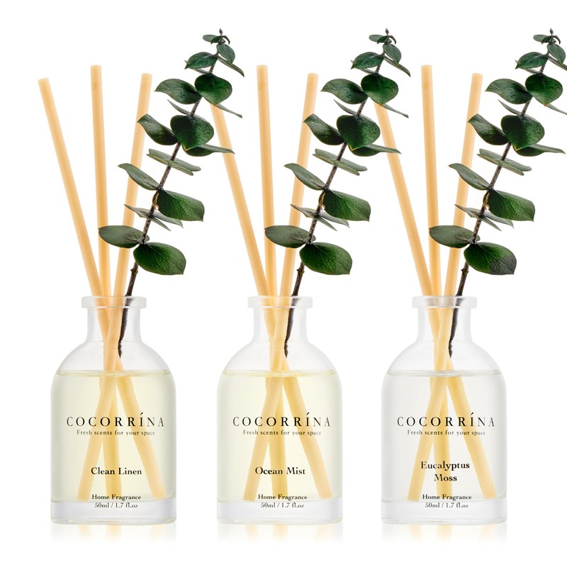 COCORRÍNA Eucalyptus Reed Diffuser Set of 3 - Eucalyptus &