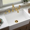 Akicon Garbage Disposal Air Switch with Air Hose, Sink Top