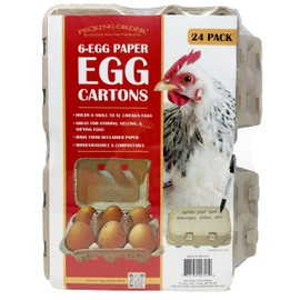 6-Egg Paper Egg Cartons - 24 Pack