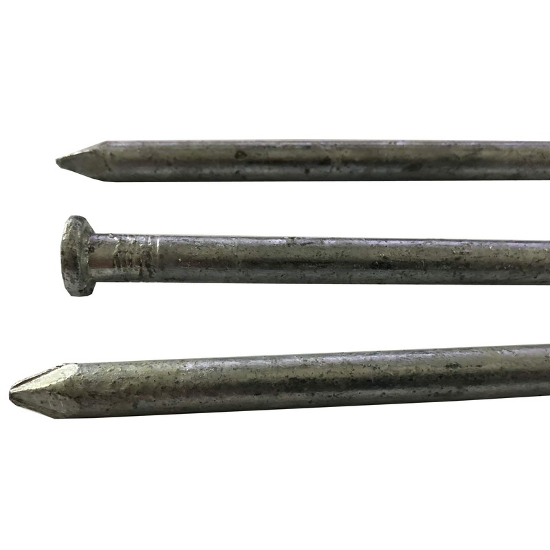 (5) 80d - Galvanized Spike nails - (5) Pack (5)