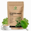 200 Kalanchoe Pinnata Leaves - 100% Pure, Organic, Dried Leaves