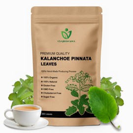 200 Kalanchoe Pinnata Leaves - 100% Pure, Organic, Dried Leaves for Teas, Smoothies,