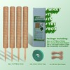 Moss Pole, 4 Pack 17Inch Monstera Plant Support for Climbing