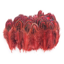 100 pcs Natural Pheasant Plumage Feathers 2-3 Inches Plumage Feathers for Sewing Crafts Clothing Decorating Accessories -Red