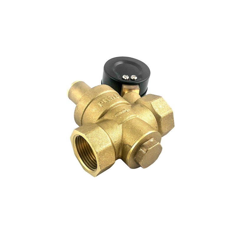 QWORK® DN20 Brass Water Pressure Regulator with Pressure Regulator Pressure