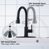 Matte Black Kitchen Faucet with Pull Down Sprayer - High