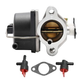 Hoypeyfiy Carburetor Fuel Filter Kit Replacement for Tecumseh 640065 640065A OHV110 OHV115 OHV120 OHV125 OHV130 OVH135 13HP 13.5HP 14HP 15HP Engine Lawn Mower Carb with Gasket Air Filter Fuel Line