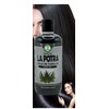 La Potra Cola de Caballo Shampoo Negro – 500ml |