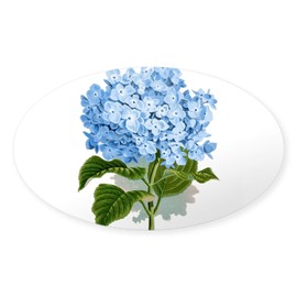 CafePress Blue Hydrangea Flowers Sticker Oval Car Bumper Sticker
