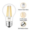 12 Volt Edison Bulb E26 12V LED Bulb Warm White