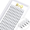 B&Q Ready-to-Use Fan Eyelashes, 10D-D-0.05-12, Pointed Base, Eyelash Extensions, 3D, 4D, 5D, 6D, 10D, 0.05, 0.07, 0.10 mm Volume Eyelashes, C, D Curl, Black (10D-D Curl-0.05 mm, 12 mm)