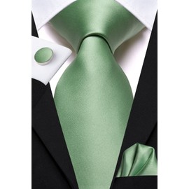 Hi-Tie Mens Tie Lapel Pin Set Jacquard Ties for Men Pocket Square Cufflinks for Formal Wedding Prom,Sage Green