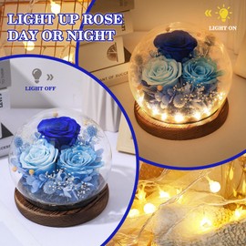 FIACO Preserved Roses in Glass Dome with LED Light Forever Flowers Eternal Roses Gift for Women Christmas & Birthday Gifts for Mom Grandma Wife Girlfriend
