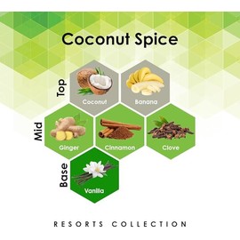 Aroma Retail Fragrance Oil Refill for Scent Machine Aroma Diffuser (4 fl oz, Coconut Spice)