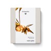 Dr. Hauschka Regenerating Day Cream Warm Glow Pack