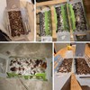 Roach Traps,Baited Glue Traps,Cockroach Trap Pet Friendly(5 apck)