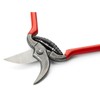 Small garden shears