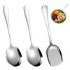Set of 3 Serving Spoons, Stainless Steel, Large Serving Spoons