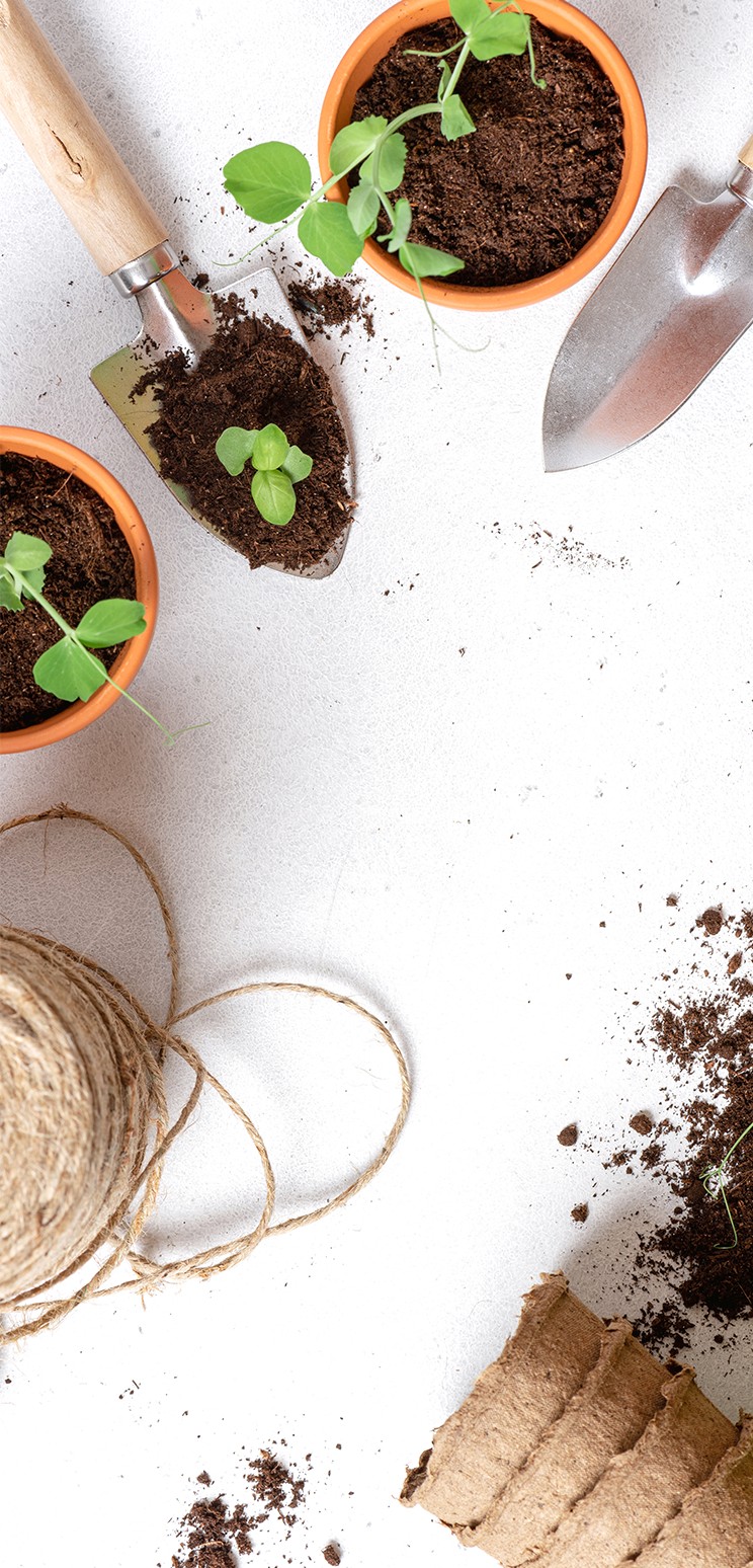 Patio, Lawn & Garden