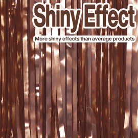 PartyWoo Foil Fringe Curtain 2 PCS,Streamers,9012
