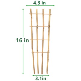 Taoskai 10 Pack 16" Bamboo Trellis for Climbing Plants, Fan-Shaped Natural Garden Ladder Trellis for Climbing Plants Potted Plants House Plants