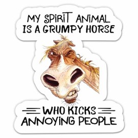 My Spirit Animal is a Grumpy Horse Stickers - 2 Pack - Waterproof Vinyl for Car, Phone, Water Bottle, Laptop - Funny Horse Decals (2-Pack)