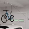 RAD Cycle Products Rail Mount Bike and Ladder Lift for