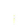 SUStee Watering Checker Small Green