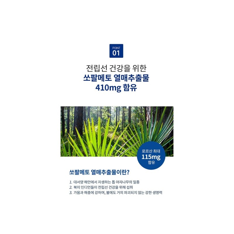 NJet Origin 전립선 건강 엔젯오리진 파워 맥스 영양제 쏘팔메토효능 야뇨빈뇨