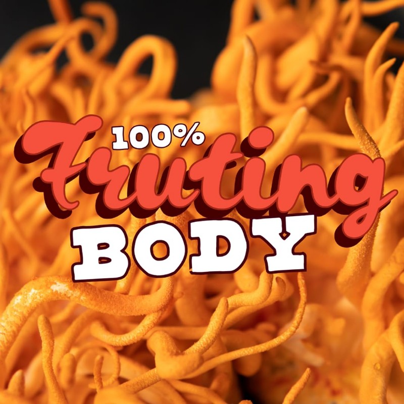 Freshly Fermented - Organic Cordyceps Powder - UK Grown