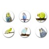 Merchandise for Fans Budgies Budgies Yellow / Blue / Green