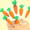 NIWWIN NIVIN Educational Carrots Harvest Wooden Toddler Toy Sorting Game
