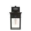 Motion Sensor Outdoor Wall Lantern with Remote Control, Dusk to