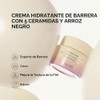 Haruharu Wonder Black Rice 5 Ceramide Barrier Moisturizing Cream