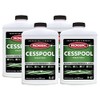 Roebic K-47-Q-12 Cesspool Treatment4