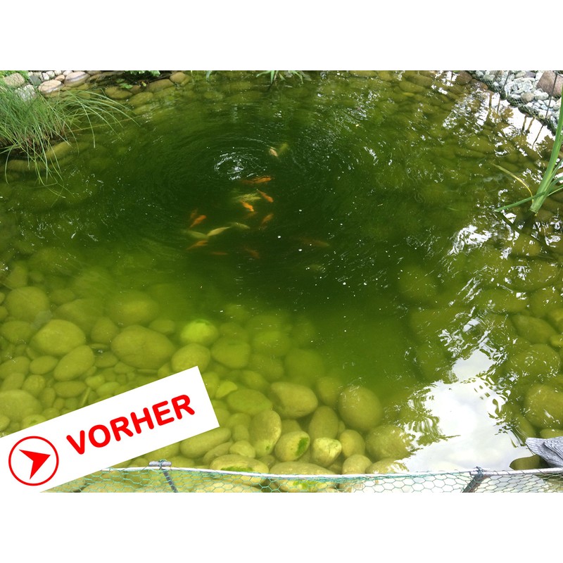 Algenkiller Protect®, algae killer for garden and swimming ponds