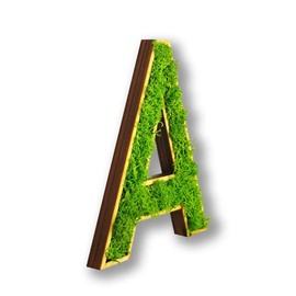 Moosly® Wooden Letter - A - with Wooden Frame, Moss Decorative Letters Sign Symbol Number - Wooden Letter with Real Iceland Moss - Wall Pictures Living Room Decoration Wall Pictures Living Room