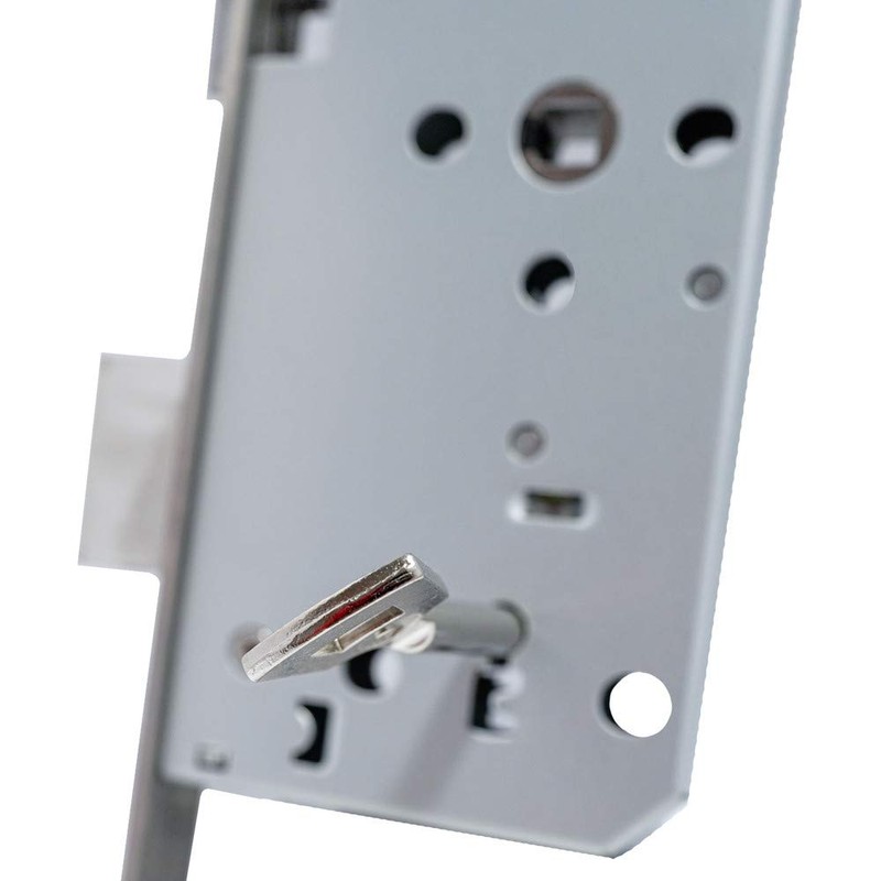 Felgner Profile Cylinder Door Mortice Lock, Lock Case Made of