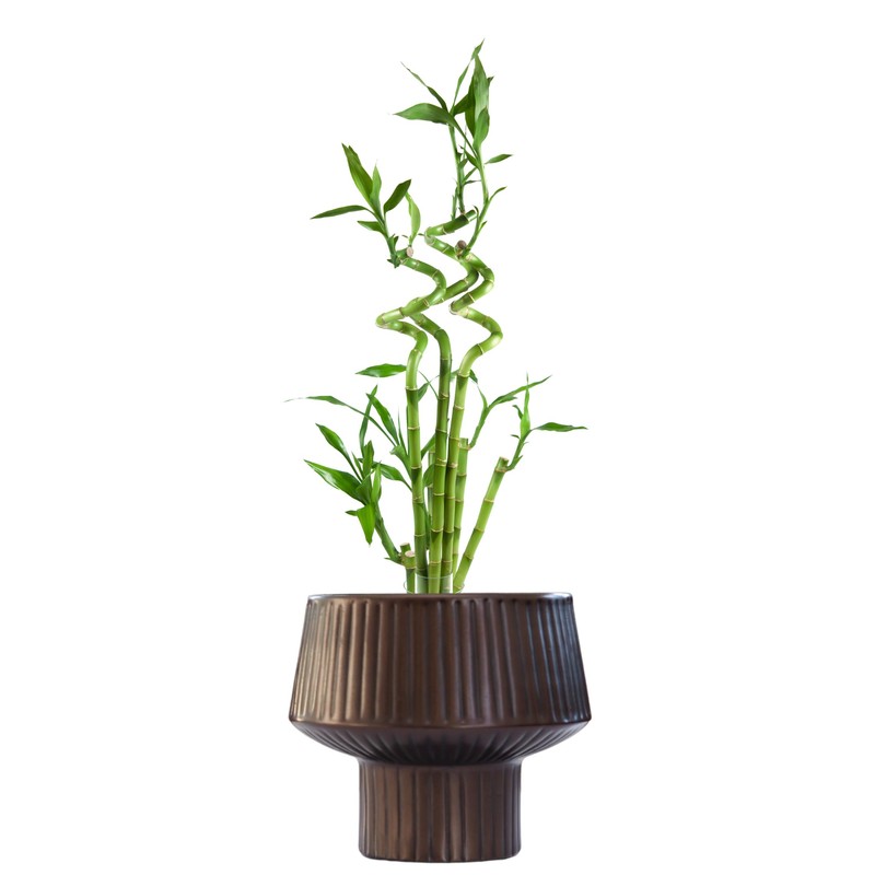 Wide Top Modern Handmade Metal Indoor Planter with Unique Shape,