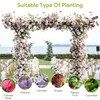 Supersize Flattop Garden Arch, 140.7" L x 106.3" H Garden